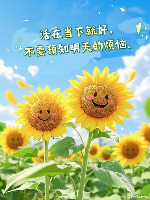 遇见阳光，照亮心灵，让我们在生活中绽放出最美的光芒  第1张