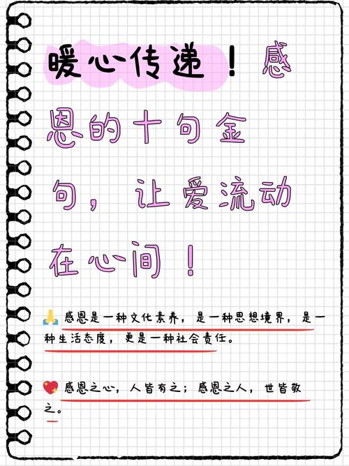 感恩的话语简短精辟，感恩简语，真挚而深刻  第1张