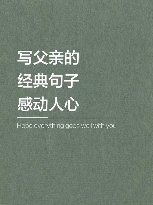 一句话泪崩的父亲文案，父爱的深沉，一句话泪崩的文案  第1张