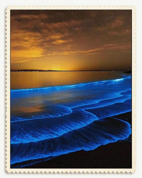 夜空呼唤着泪海 第1张 夜空呼唤着泪海 第1张