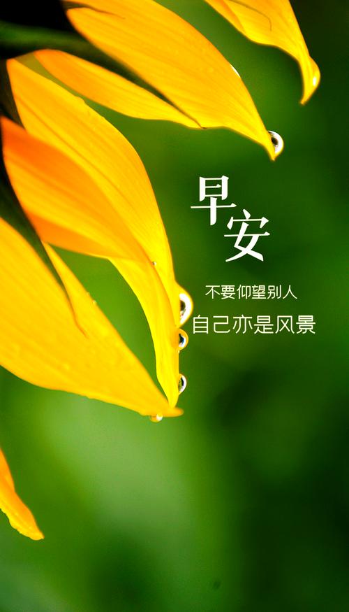 早安正能量简单一句话，早安正能量简语，开启美好一天的温暖问候  第1张