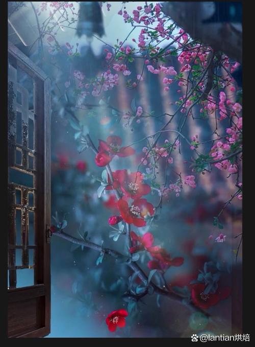 开心灵之窗,观人生美景 第1张 开心灵之窗,观人生美景 第1张