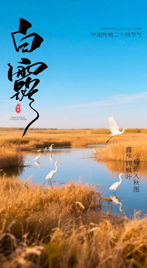 今有秋意  第1张