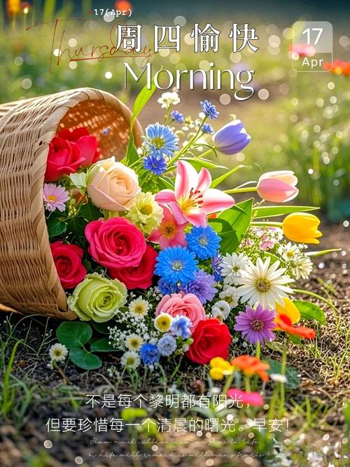 一缕清风  第1张