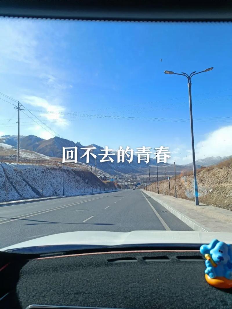 青春踏过我的忧伤  第1张