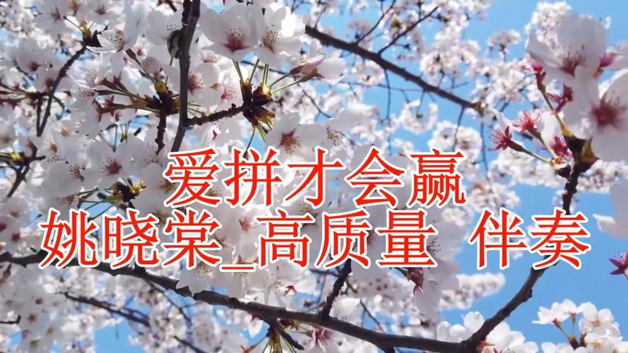 爱“拼”才会赢 第1张 爱“拼”才会赢 第1张