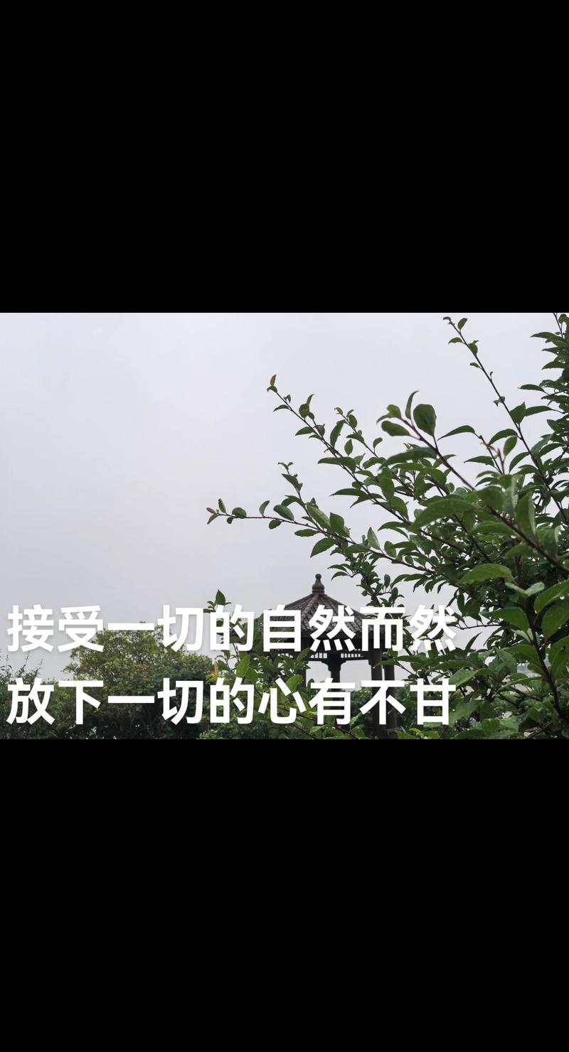 放下一切，放下一切，心灵的解脱与自由之路  第1张