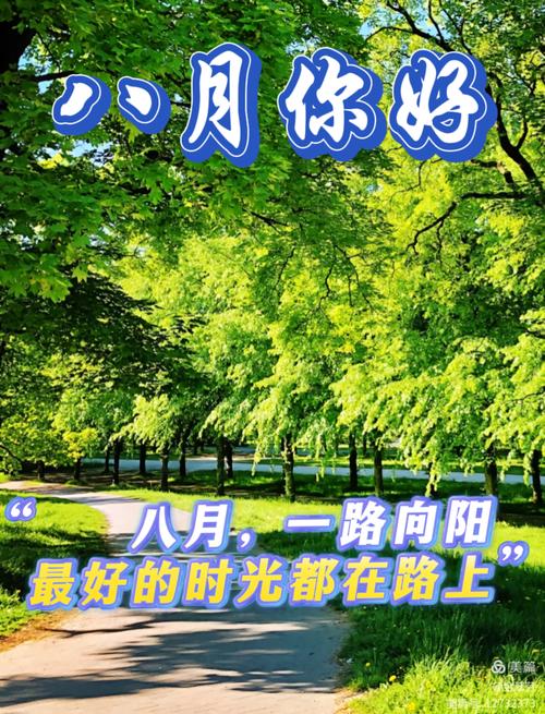 七月再见，八月你好  第1张