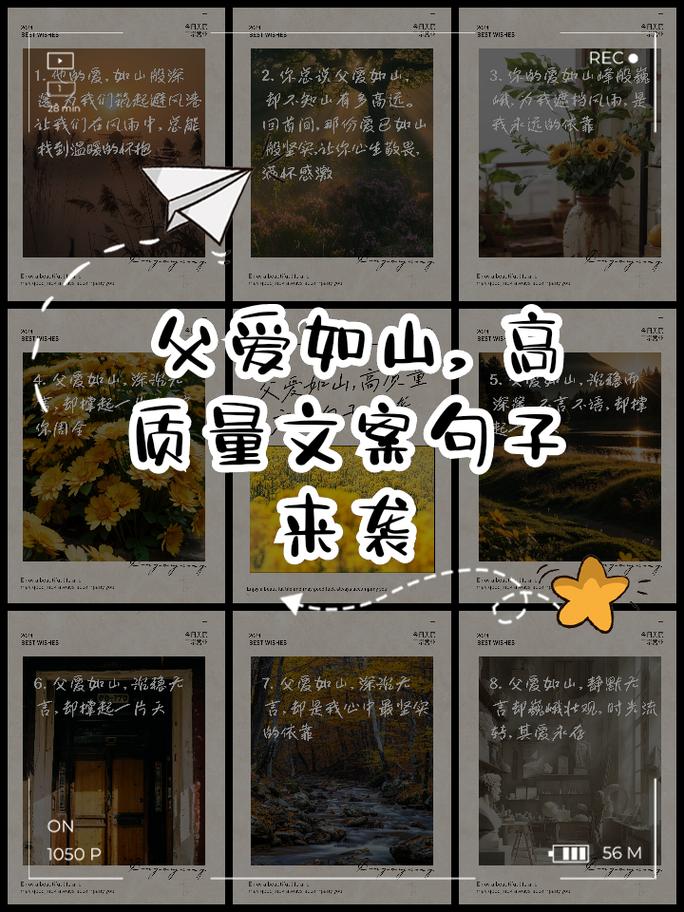 赞美父爱的千古名句，赞美父爱的千古名句，父爱如山，深沉而伟大。  第1张