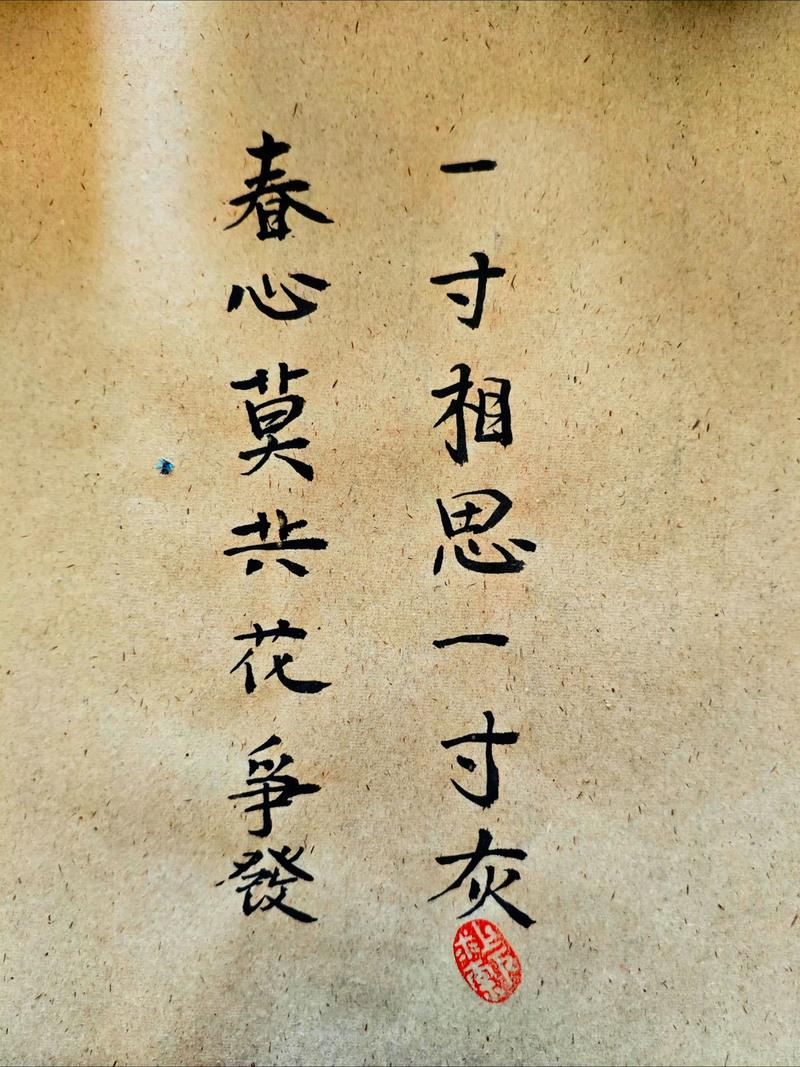 春少何须寂静苦  第1张