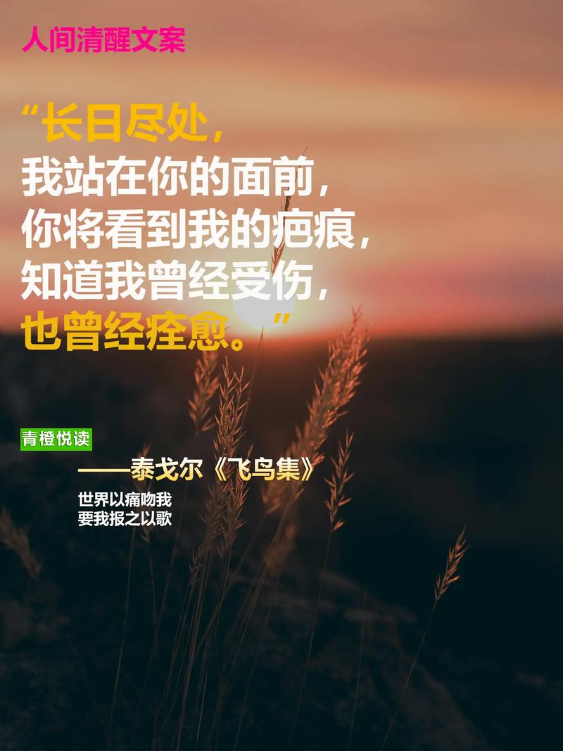 泰戈尔唯美表白情话，泰戈尔的唯美情话表白  第1张
