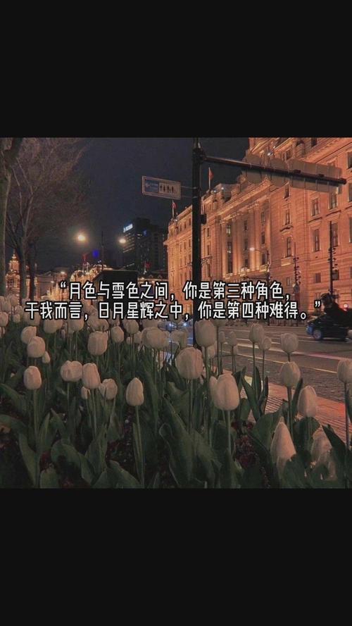 跟星星有关的唯美句子 | 山野千里，你是我藏在星星里的浪漫  第1张