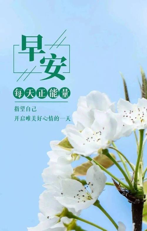 一天一句正能量简短16个字，每日正能量短句，积极向上，生活充满阳光。  第1张