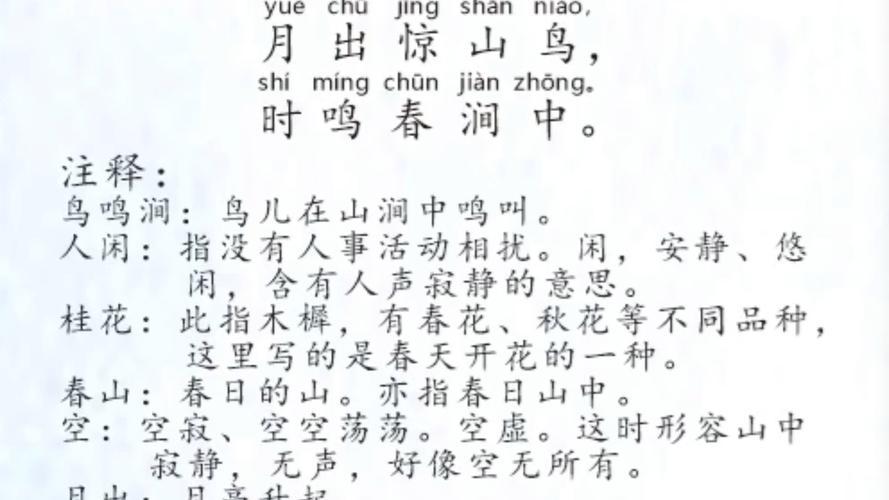 啾啾的鸟鸣,婉转动听,可我看不到你的脸 第1张 啾啾的鸟鸣,婉转动听,可我看不到你的脸 第1张