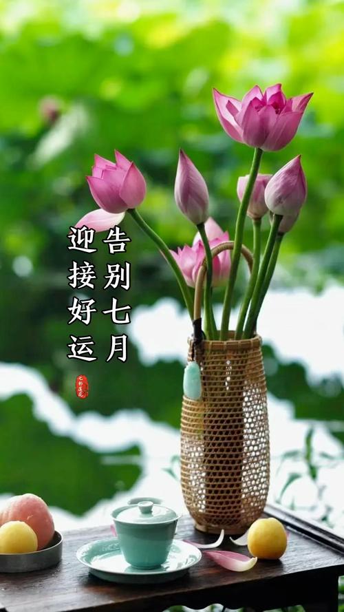 告别七月，迎接八月的唯美文案  第1张