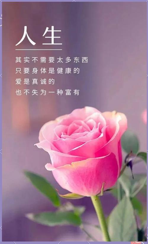 表达人生感悟的精辟句子，人生感悟，精辟句子，洞悉生活真谛  第1张