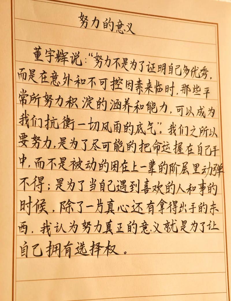 努力了的才叫梦想，不努力的就是空想#别让欲望击穿你的意志  第1张