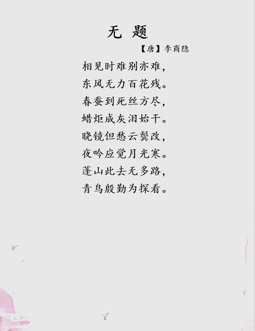 爱情诗句经典语录，爱情诗篇经典语录，永恒的浪漫与深情  第1张