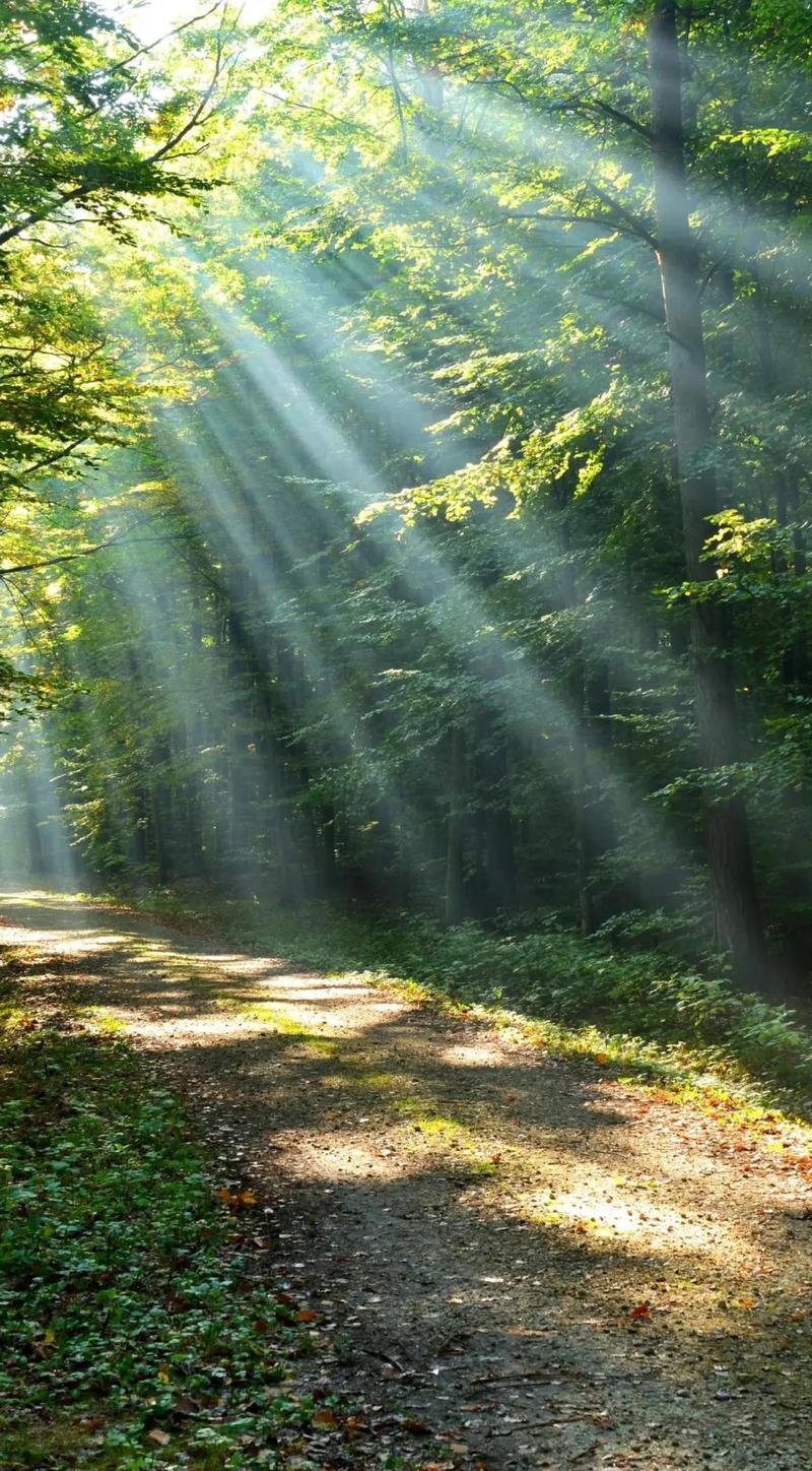 阳光心情  第1张