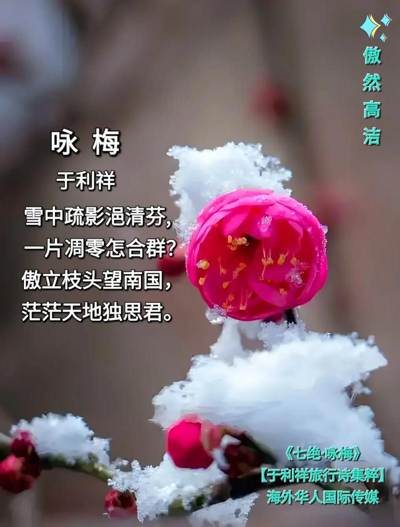 雪花为我带来了牵挂  第1张