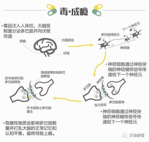 毒品带来的伤害  第1张
