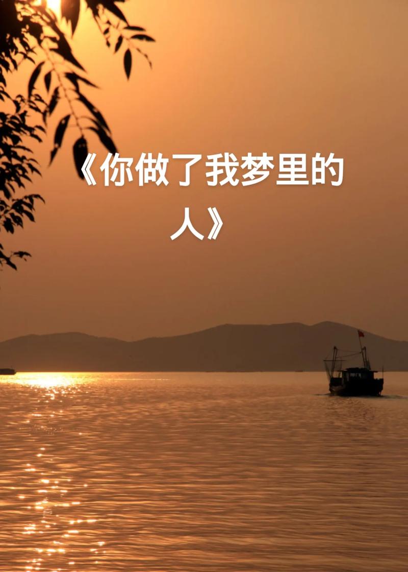 你在我的梦里  第1张