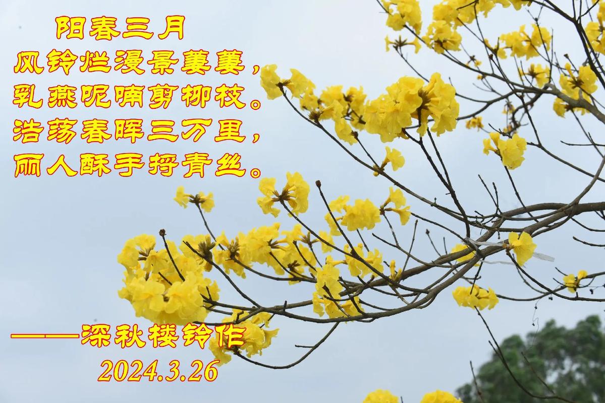 阳春三月  第1张