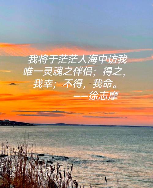 情人节语录浪漫简短，情人节浪漫简短语录  第1张