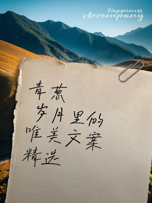 青涩岁月的味道  第1张