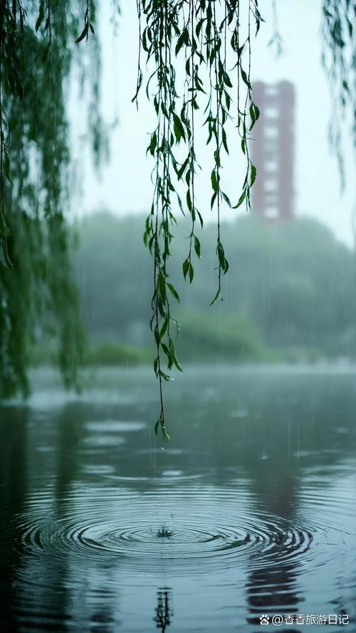 五月，小雨飘起来的时候  第1张