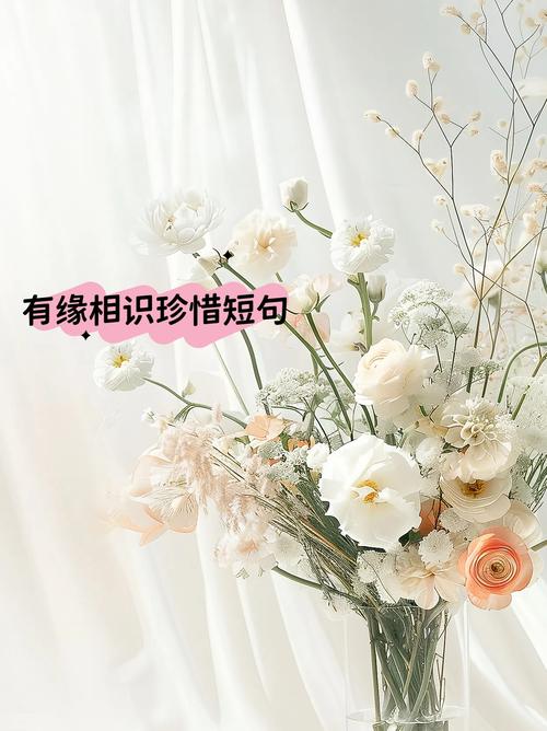 珍惜彼此感情的句子，珍惜心间情深意长的句子  第1张