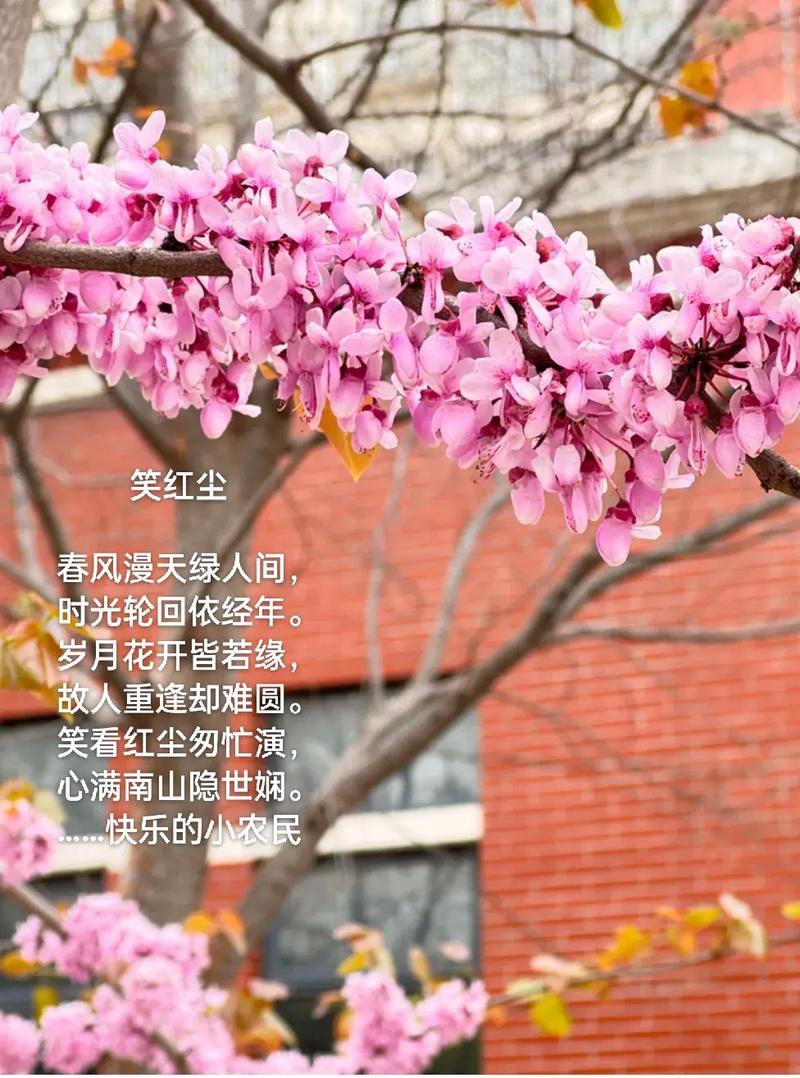 似水流年,总会心留一抹念;红尘风暖,总会拾得一缕香 第1张 似水流年,总会心留一抹念;红尘风暖,总会拾得一缕香 第1张