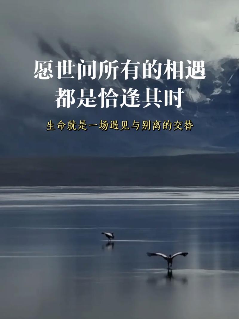 茫茫人海,每一场相遇,都是一场美丽  30条唯美到窒息情感说说 第1张