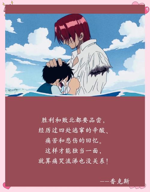 《海贼王》励志经典语录！(六) （值得细细品味的语录）  第1张