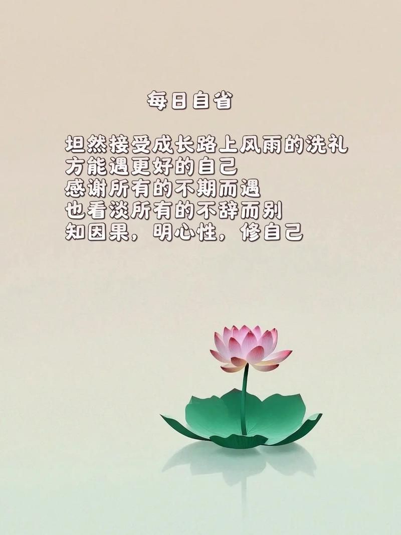 致自己心静的句子,心静致远,自我对话的宁静之语 第1张 致自己心静的句子,心静致远,自我对话的宁静之语 第1张