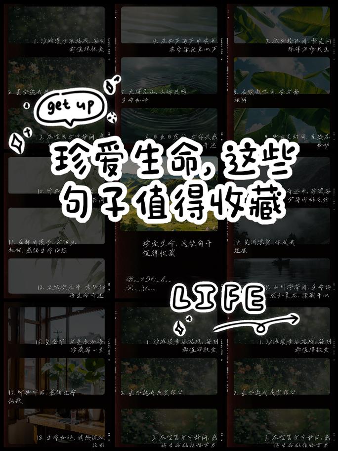 关于珍爱生命的名言，珍爱生命，感悟名言的智慧  第1张