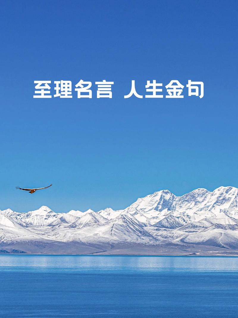 人生哲理金句名言，人生哲理金句，智慧箴言点亮生活之路  第1张