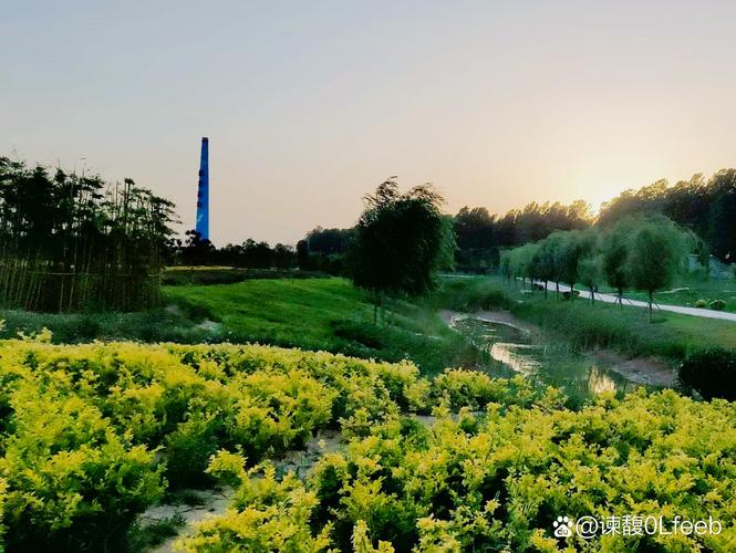 躺在时光的河流上  第1张