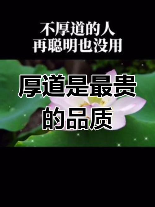 浅谈厚道  第1张