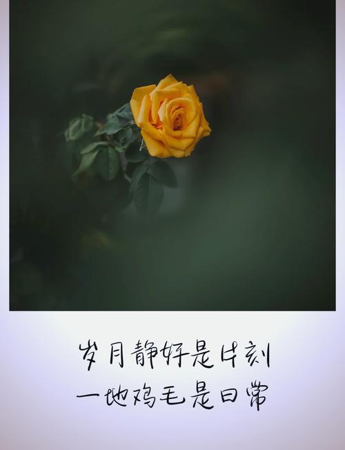 愿岁月温柔，无声无息  第1张