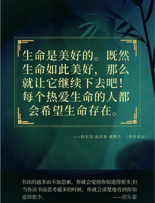 有关生命的名言，生命的名言，珍惜每一刻，活出精彩人生。  第1张