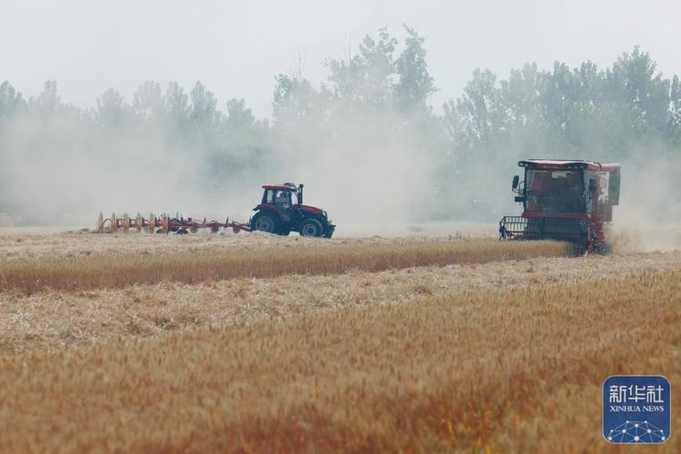 又到五月麦收时  第1张