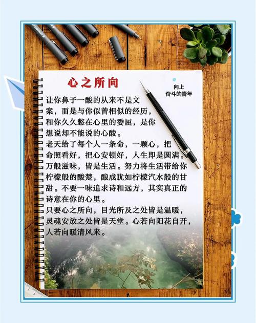 心理美文《心若向阳》，心若向阳，心理美文的力量  第1张