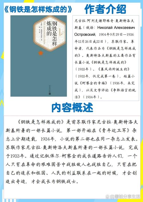 钢铁是怎样炼成的简介,钢铁是怎样炼成的简介 第1张 钢铁是怎样炼成的简介,钢铁是怎样炼成的简介 第1张