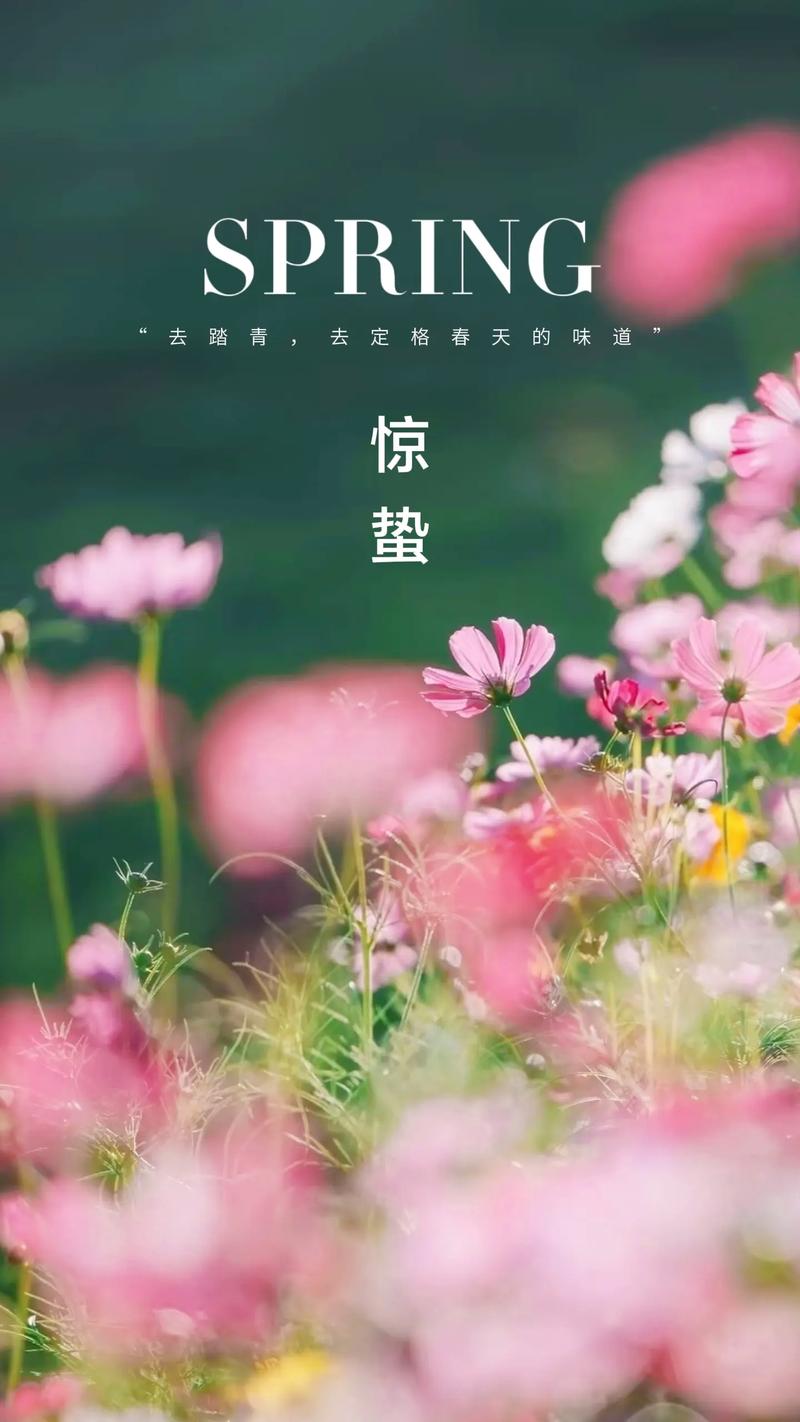 蛰伏的温暖  第1张