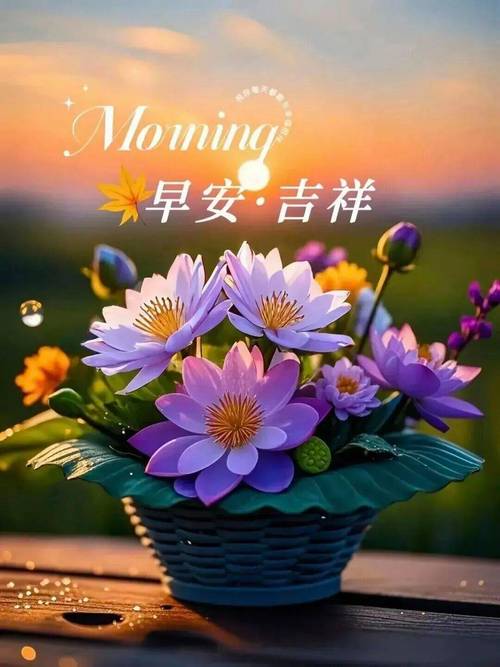 早上好问候朋友暖心句子，2023特别漂亮精美早安图片  第1张