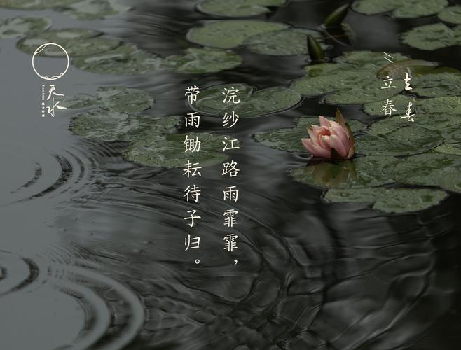 端午，在南方邂逅一场雨  第1张