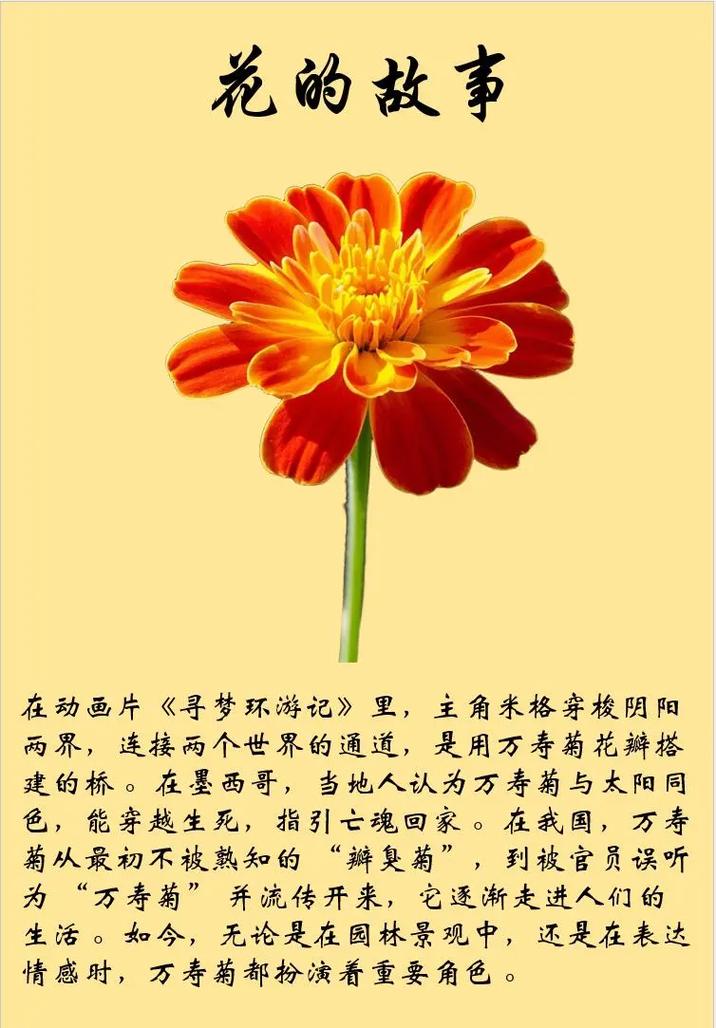 花朵怎会如此暴戾？  第1张