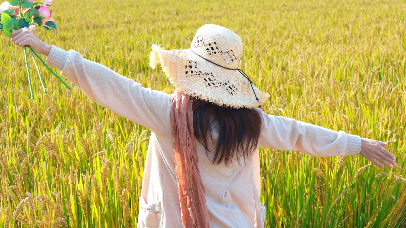 又是一年稻香时 第1张 又是一年稻香时 第1张