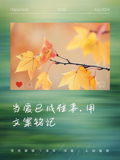 当爱已成习惯  第1张